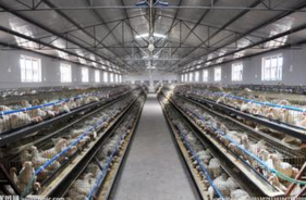 養(yǎng)殖場(chǎng)水處理設(shè)備.png 養(yǎng)殖場(chǎng)水處理設(shè)備.png