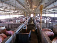 養(yǎng)殖場污水處理.png 養(yǎng)殖場污水處理.png