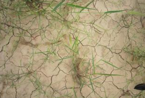 水資源緊缺.png 水資源緊缺.png